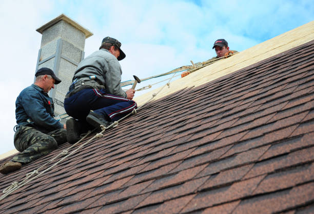 Quick and Trustworthy Emergency Roof Repair Services in Bonham, TX